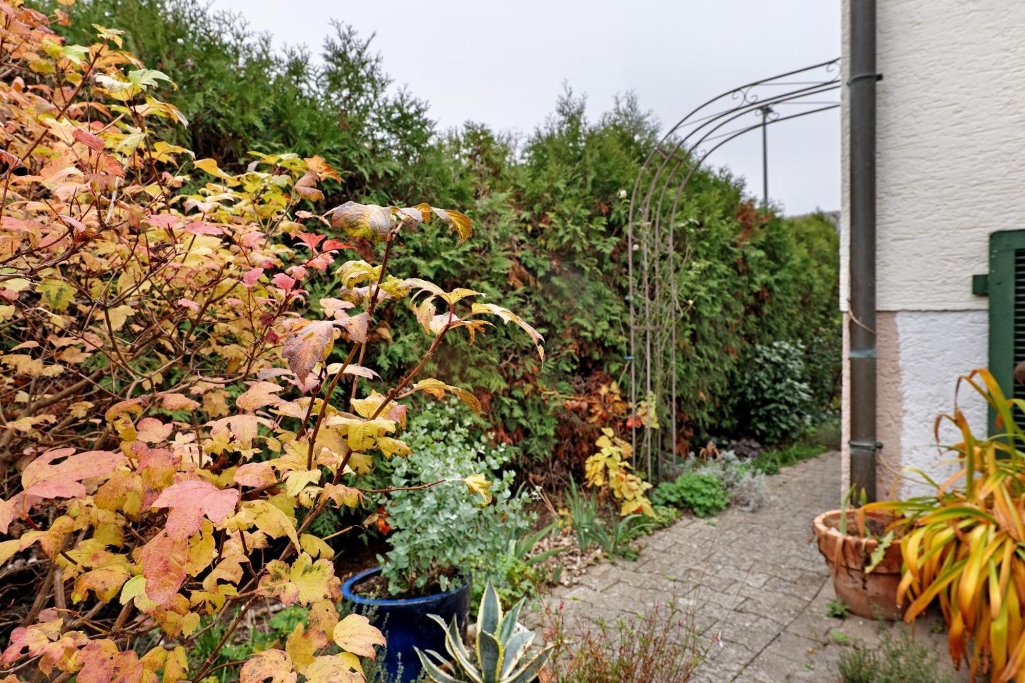 Bed and Breakfast Sleep And Go Mundelsheim Exterior foto