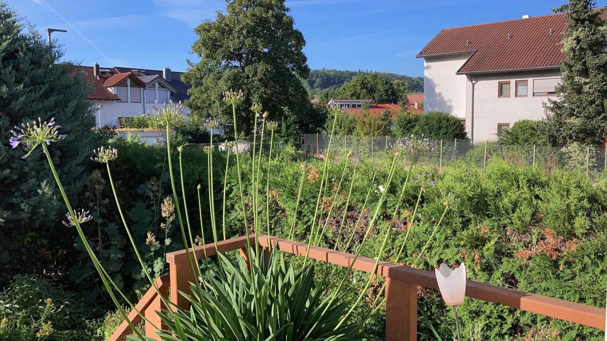 Bed and Breakfast Sleep And Go Mundelsheim Exterior foto